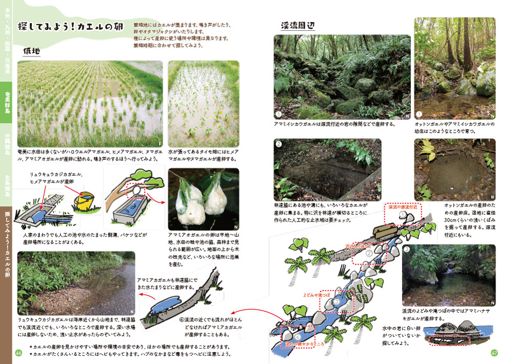 見つけて検索 日本のカエルフィールドガイド