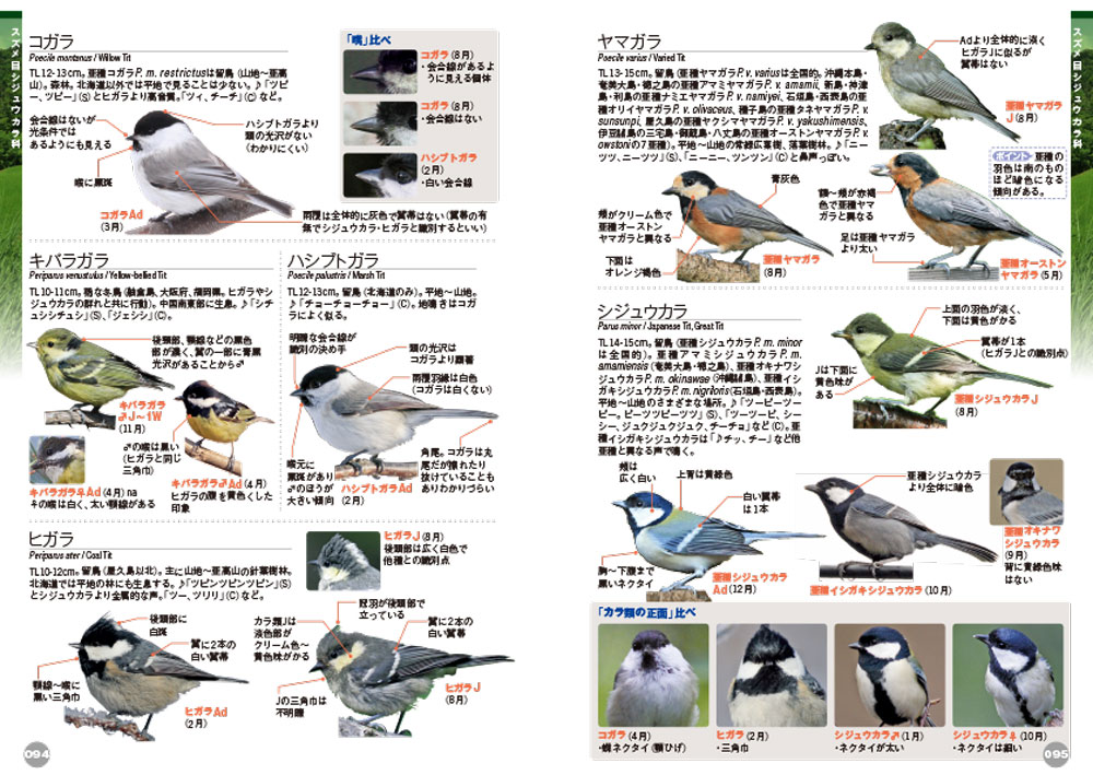 13 　北シベリア鳥類図鑑