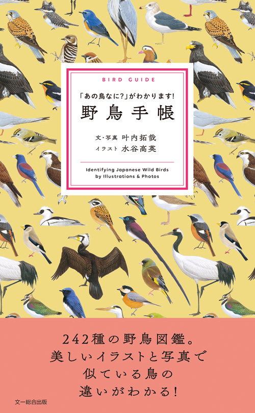 猛禽類【絶版】「図鑑 日本のワシタカ類」文一総合出版